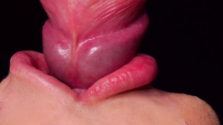 CẬP NHẬT: Lưới kéo HẤP DẪN NHẤT dành cho QUẦN RẮN của bạn! Deepthroating Boner ASMR, Lưỡi và Môi BLOW-JOB